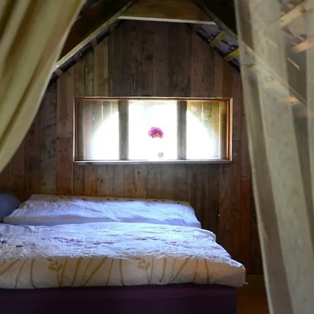Garden House بيت شباب