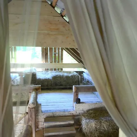 Garden House بليد