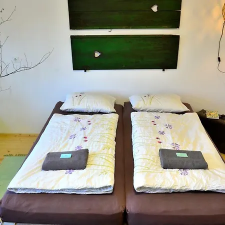 Garden House بيت شباب