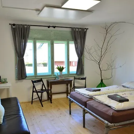 Garden House بيت شباب بليد