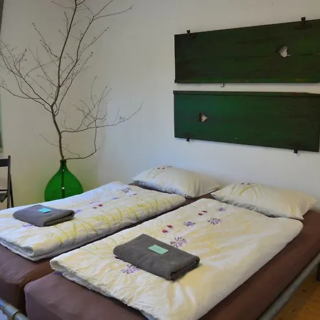 Garden House بيت شباب بليد
