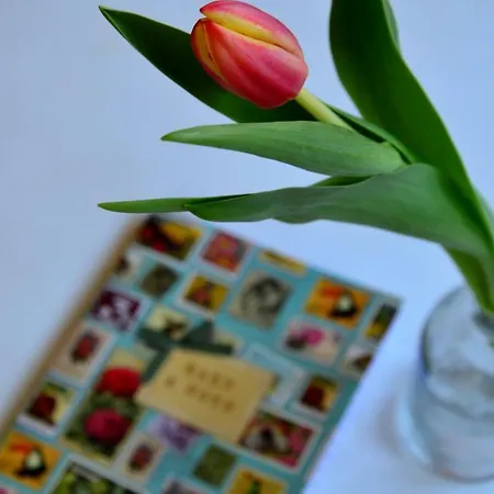 Garden House * بليد